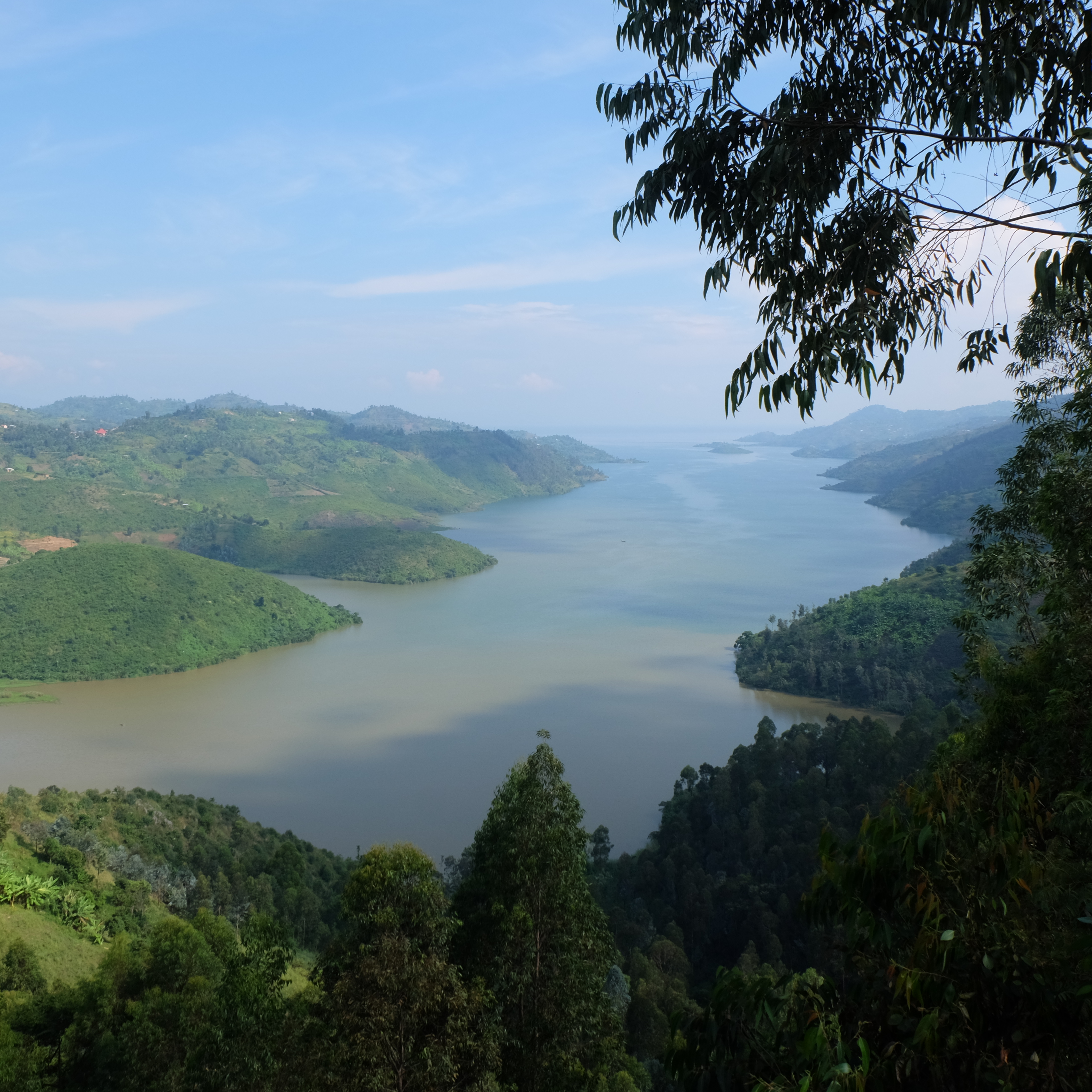 Rwanda Rugali Natural(24/25年クロップ) | ORIGIN COUNTRIES for